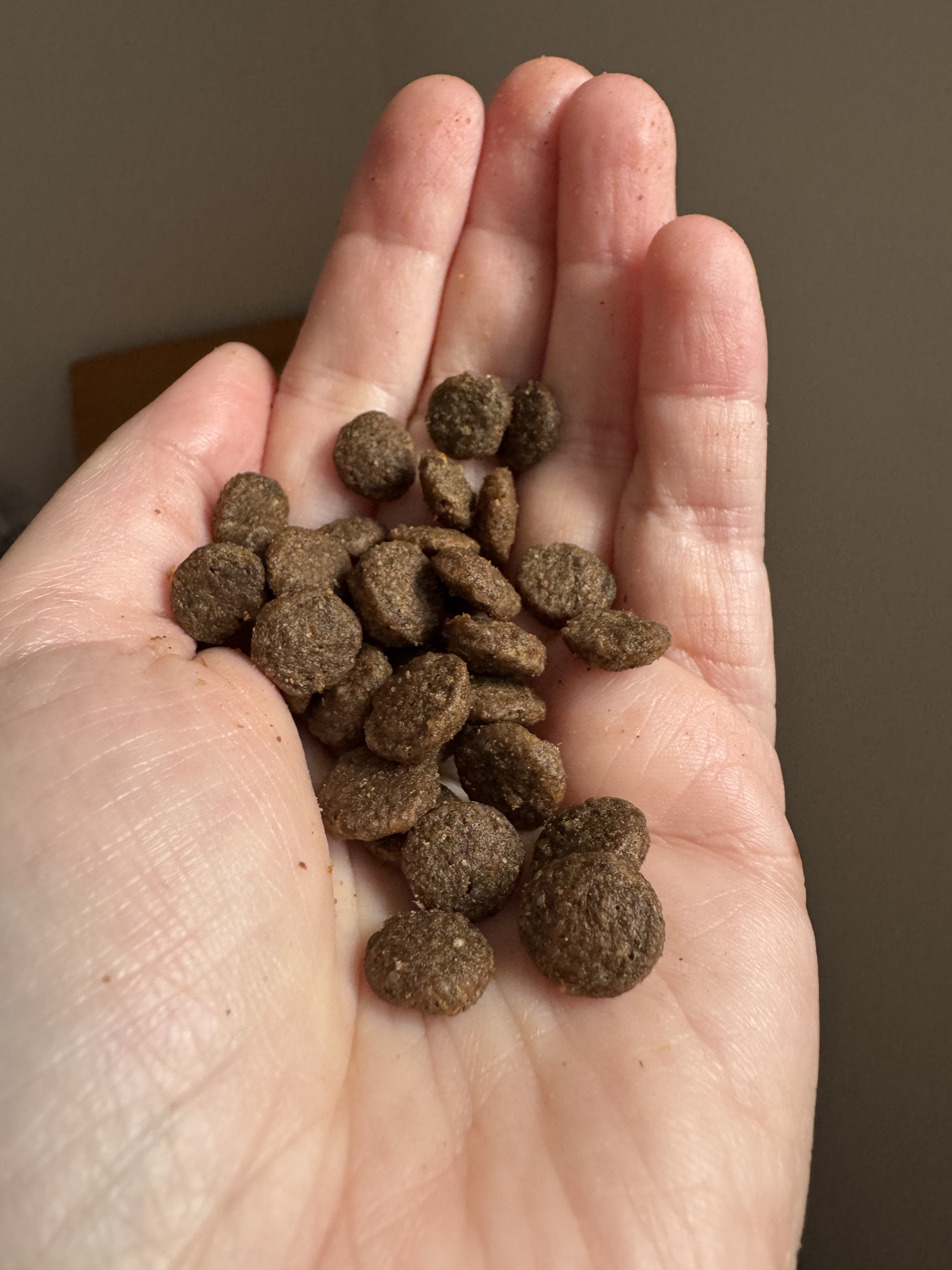 Grain-inclusive kibble